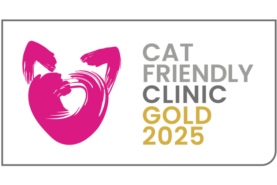 New Nursing CPD for 2025! (2)