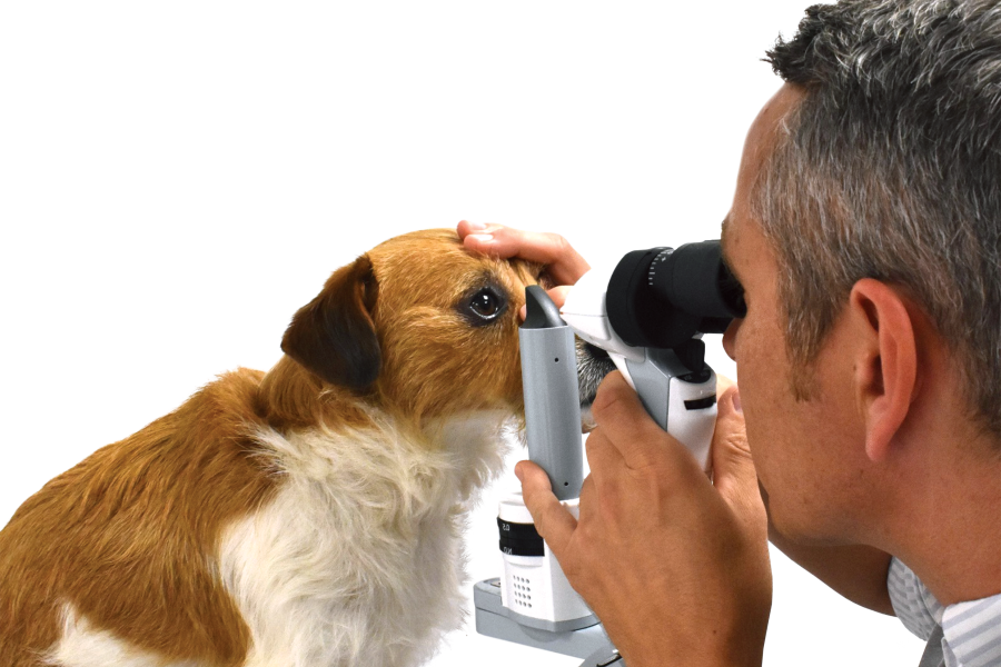 New Nursing CPD for 2025!