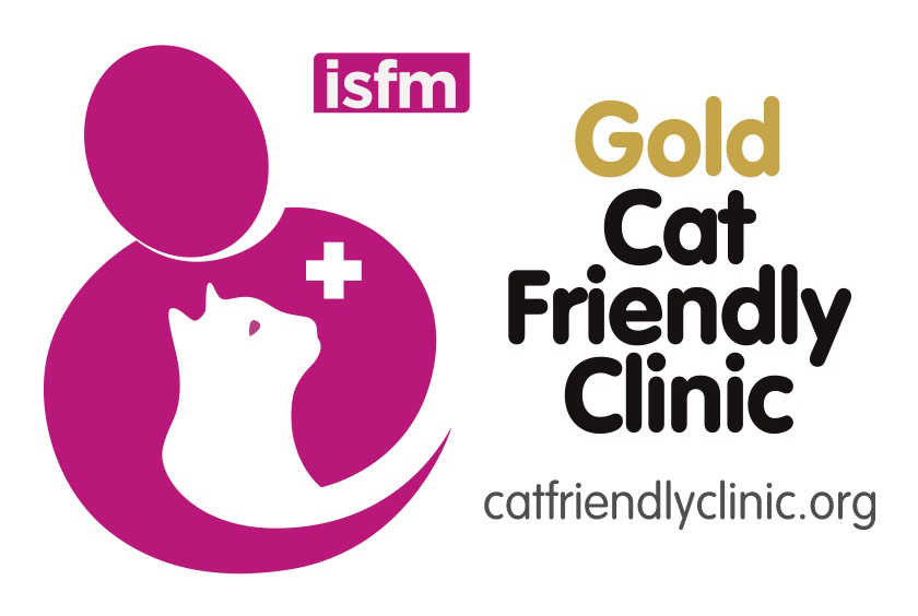 Gold cat friendly climic 2021