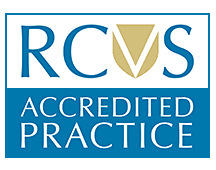 Logo - RCVS Accredited Practice