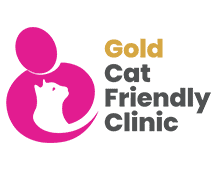 Logo - ISFM CFC Gold